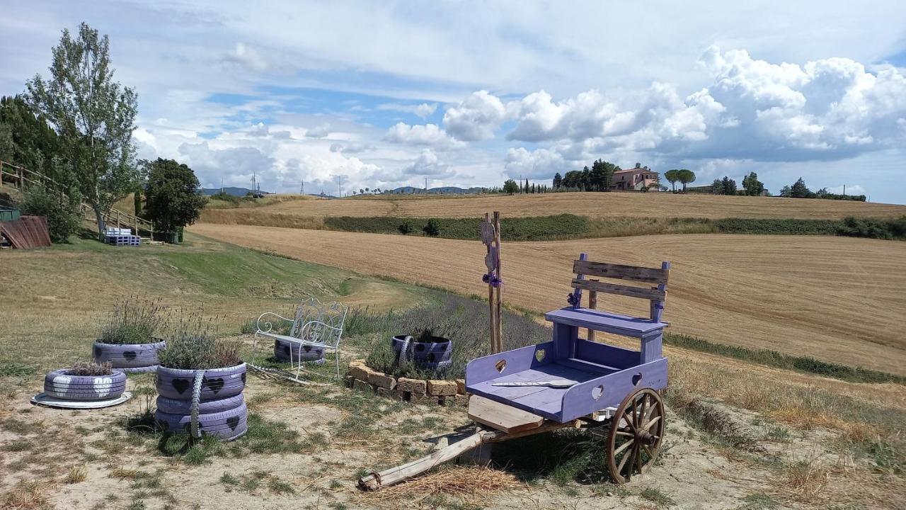 La Quiete Tra Le Vigne Tuscany Collesalvetti Luaran gambar