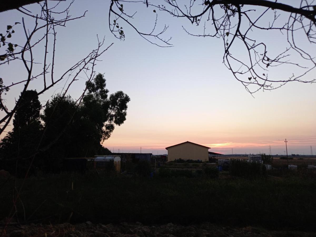 La Quiete Tra Le Vigne Tuscany Collesalvetti Luaran gambar