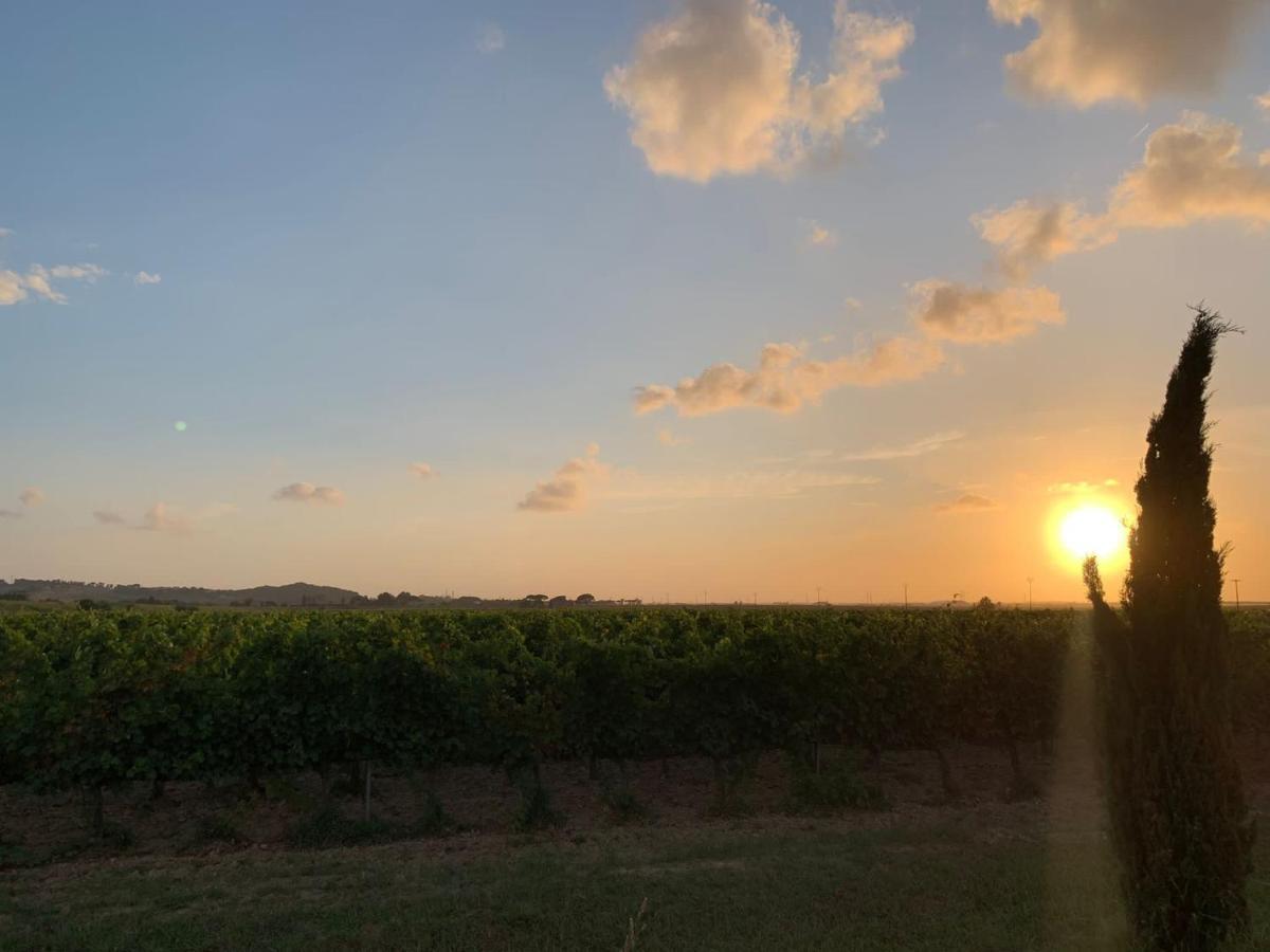 La Quiete Tra Le Vigne Tuscany Collesalvetti Luaran gambar