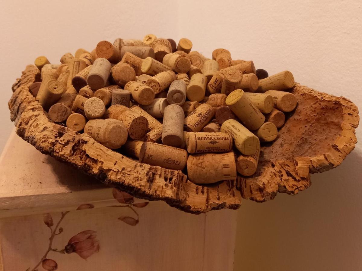 La Quiete Tra Le Vigne Tuscany Collesalvetti Luaran gambar